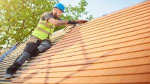 Best Roof Moss and Algae Removal  in Sault Ste Marie, MI