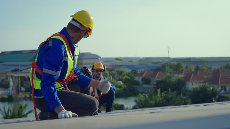 Best Roof Insulation Installation  in Sault Ste Marie, MI