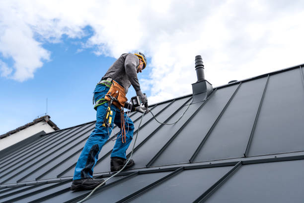 Steel Roofing in Sault Ste Marie, MI